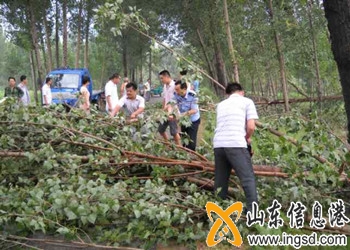 陵縣鄭寨所積極開展雨后防汛排險工作 (4)_副本.jpg